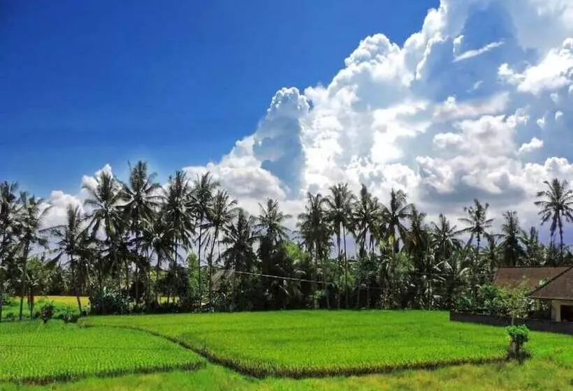 ホテル Pondok Ayu Soca