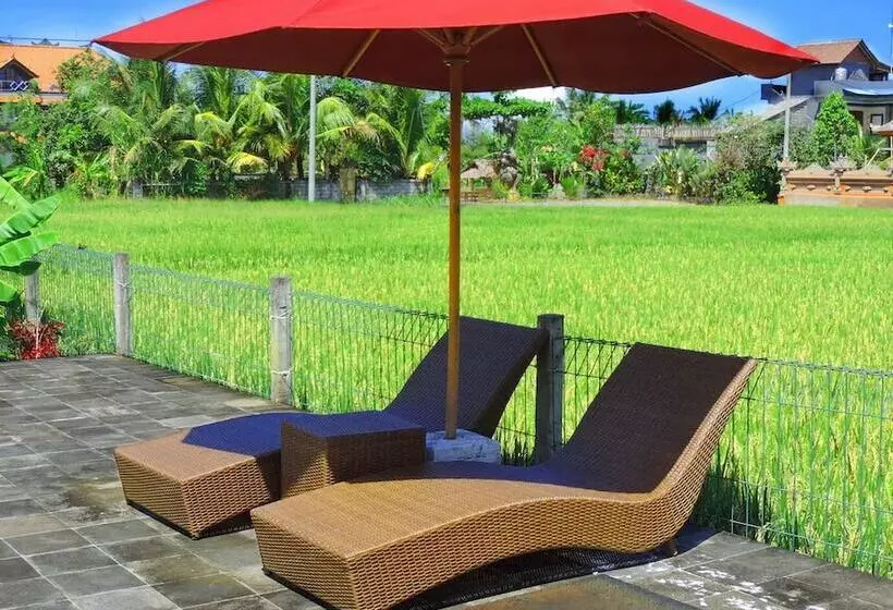 ホテル Pondok Ayu Soca