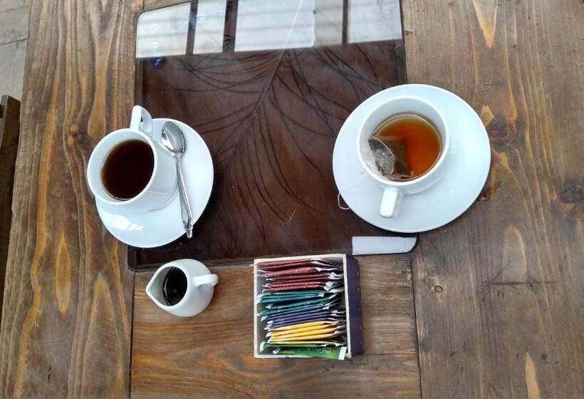 Bed & Breakfast Ruta Alterna Backpacker