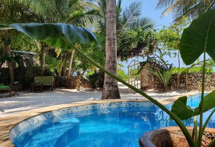 تختخواب و صبحانه Villa Kipara Beach
