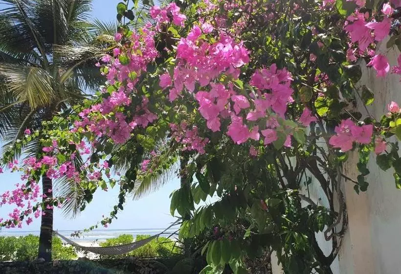 تختخواب و صبحانه Villa Kipara Beach