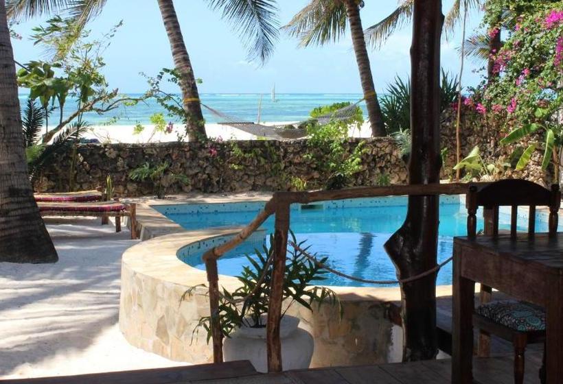 ベッドアンドブレックファースト Villa Kipara Beach