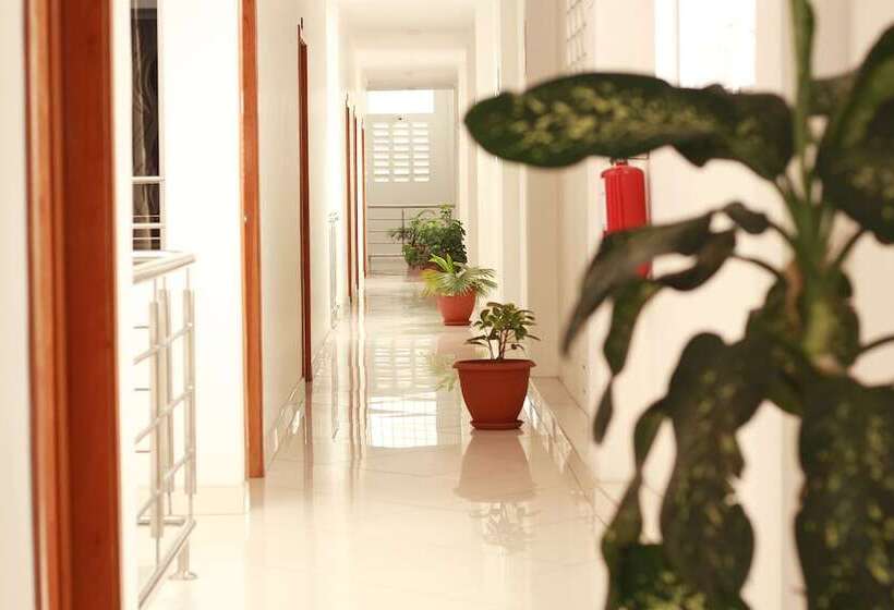 בית מלון כפרי Fitzcarrald