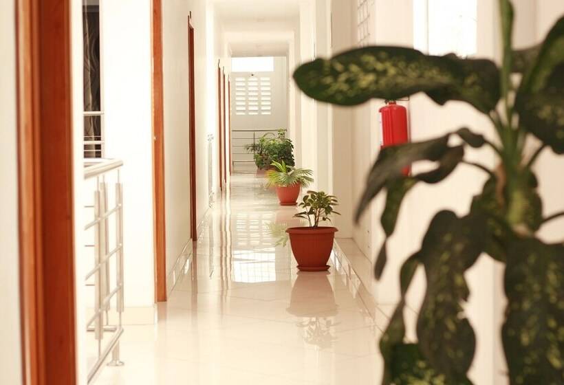 בית מלון כפרי Fitzcarrald