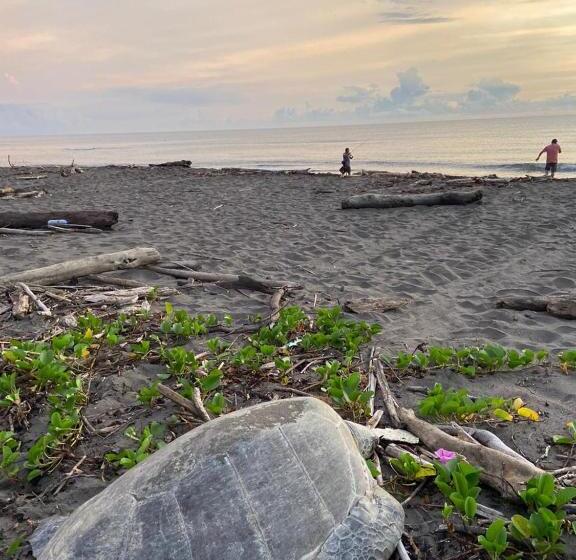 هتل Green Macaw Hostel
