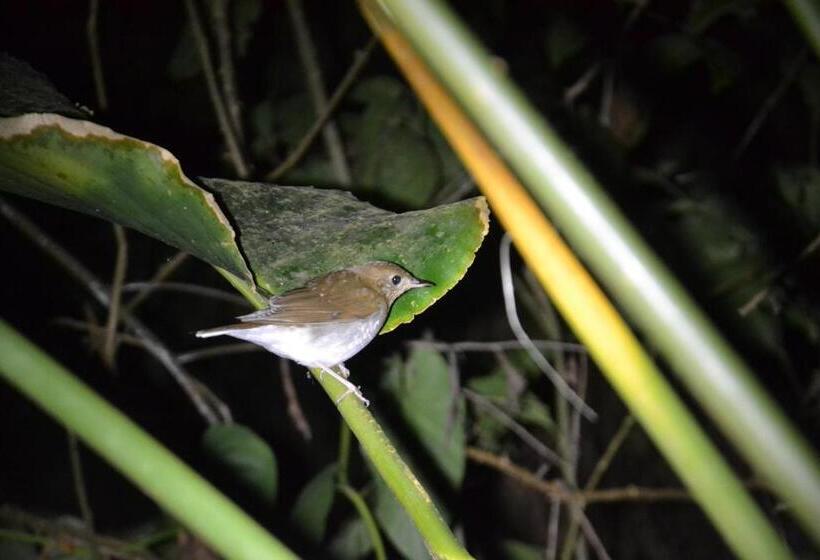 هتل Green Macaw Hostel
