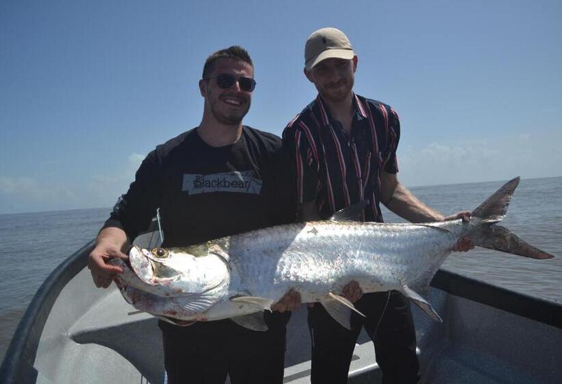 هتل Green Macaw Hostel