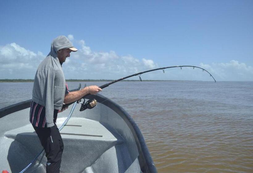 هتل Green Macaw Hostel