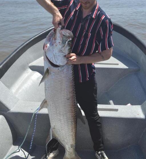 هتل Green Macaw Hostel