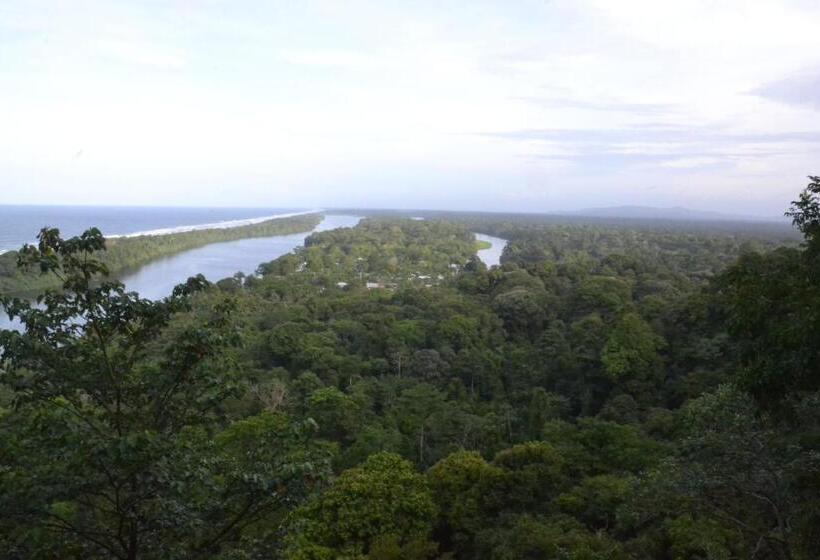 هتل Green Macaw Hostel