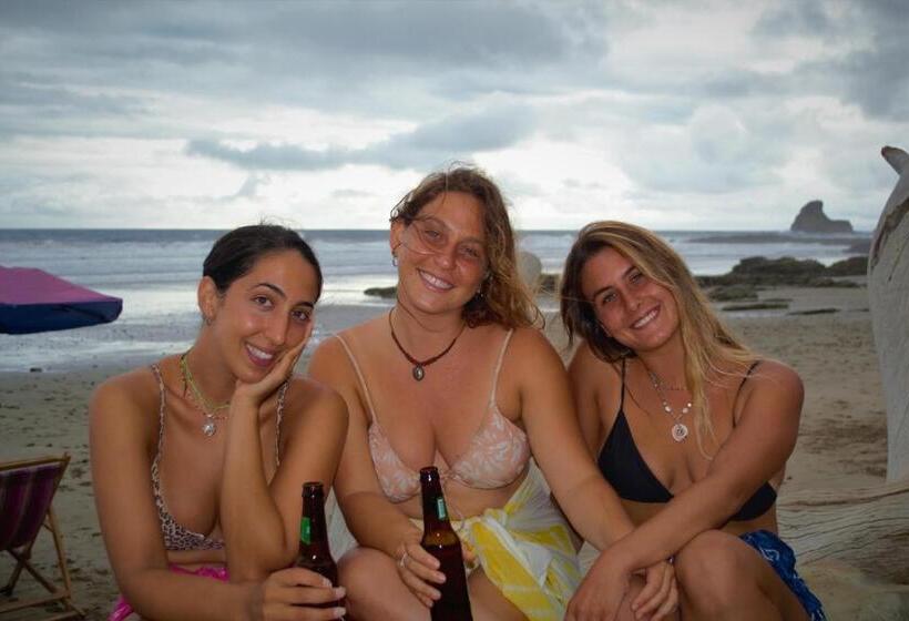 هتل Green Macaw Hostel