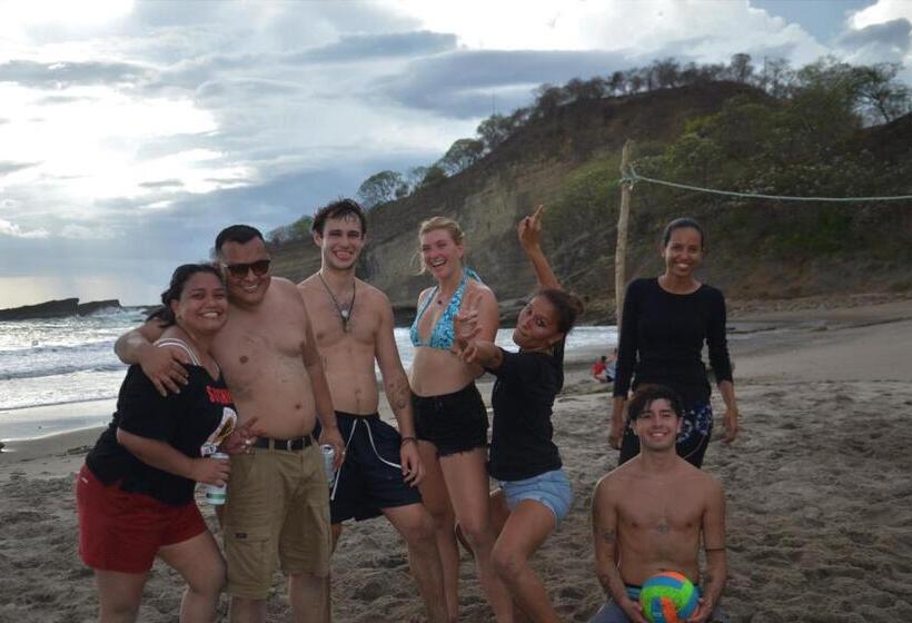 هتل Green Macaw Hostel