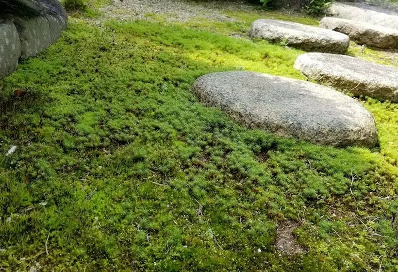 ریوکان Yuhigaura Onsen Konoya