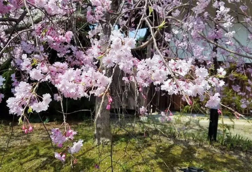 ریوکان Yuhigaura Onsen Konoya