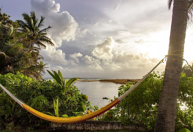 هاستل Casa Coral