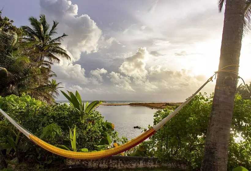 هاستل Casa Coral