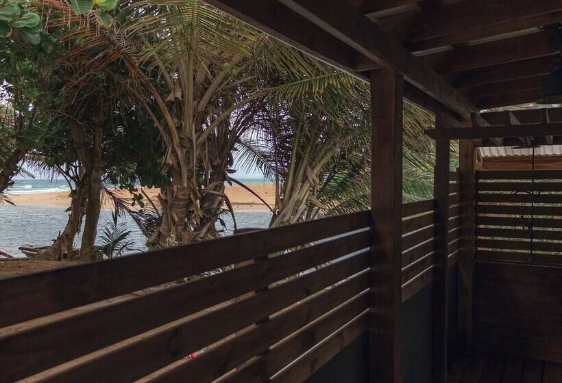 هاستل Casa Coral