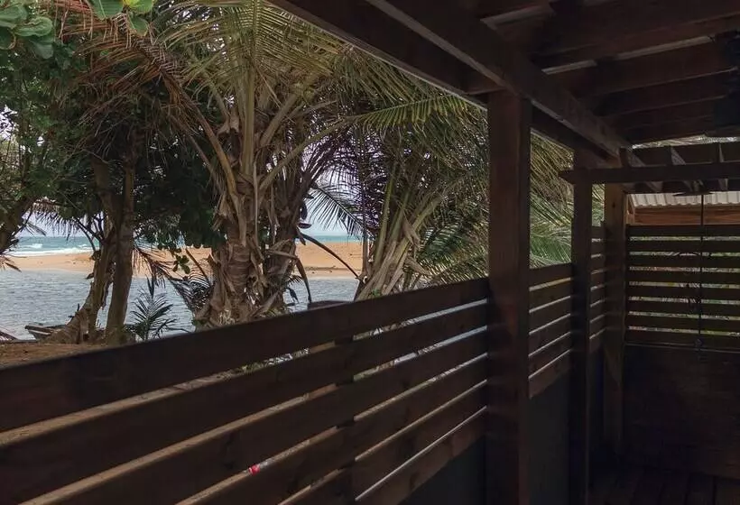 هاستل Casa Coral