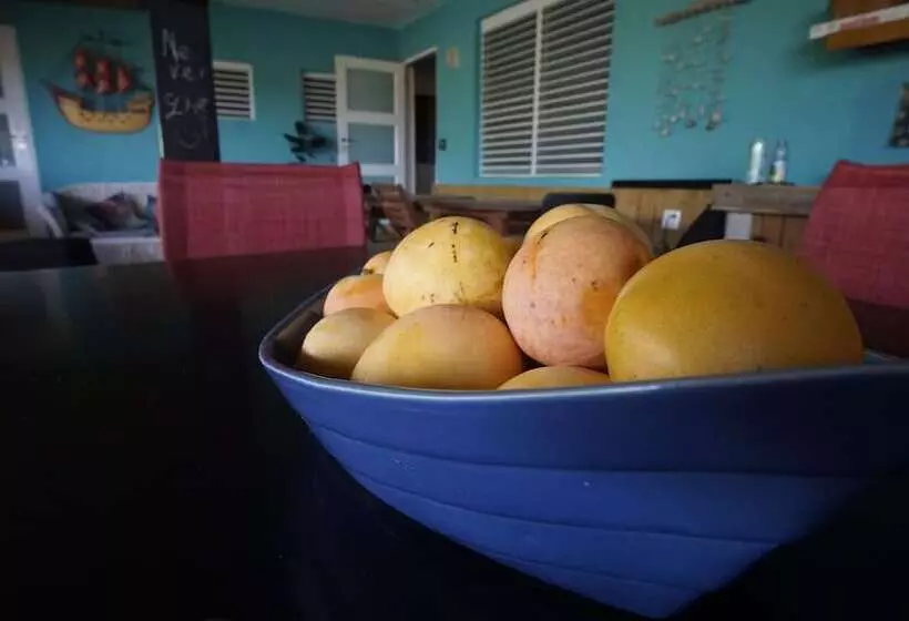 هاستل Casa Coral