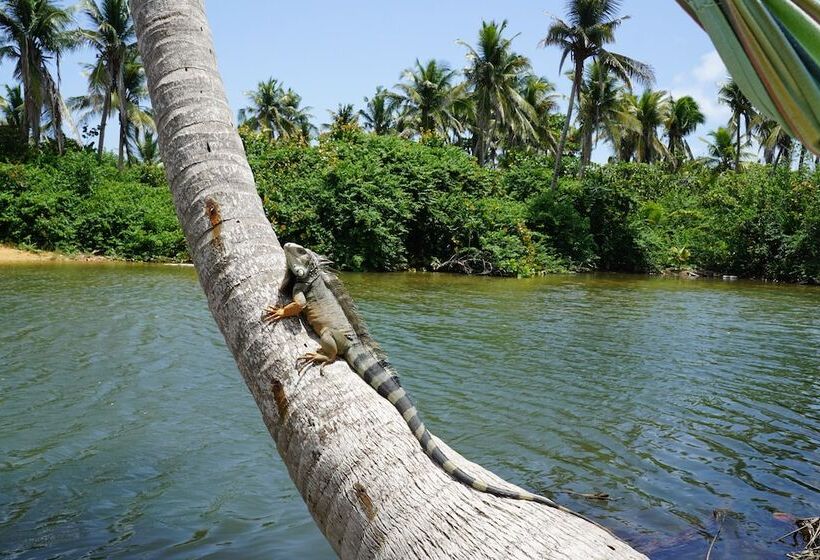 هاستل Casa Coral