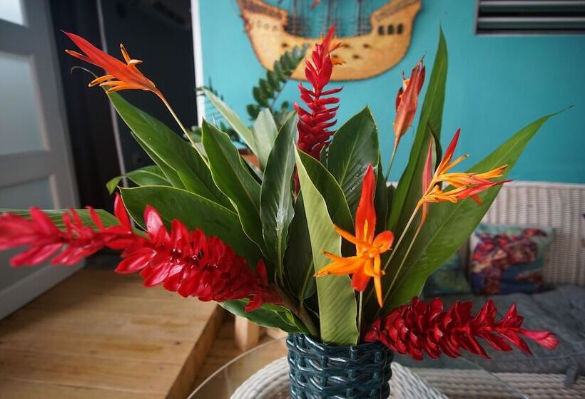 هاستل Casa Coral