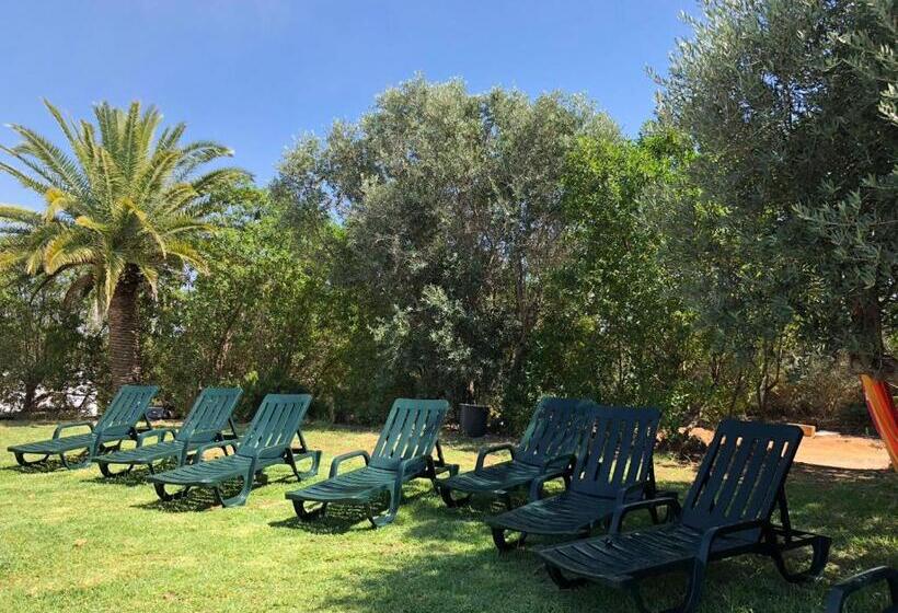 تختخواب و صبحانه Quinta Da Joia