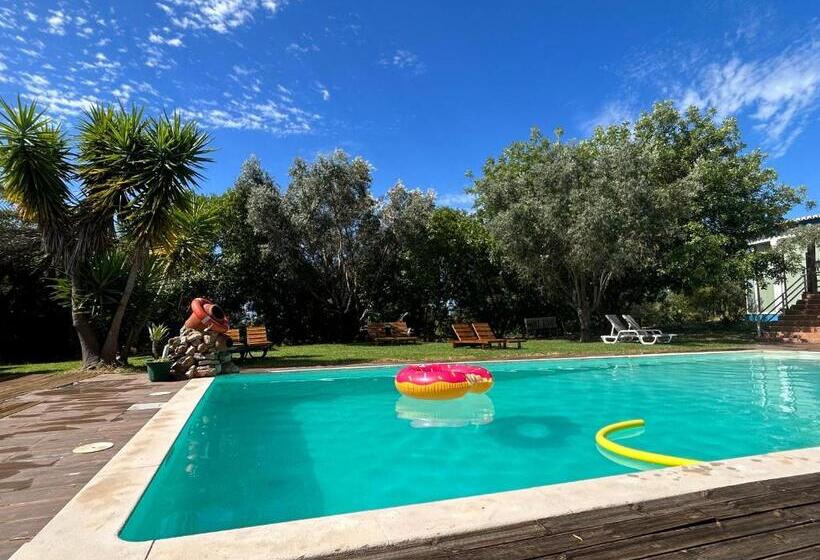 تختخواب و صبحانه Quinta Da Joia