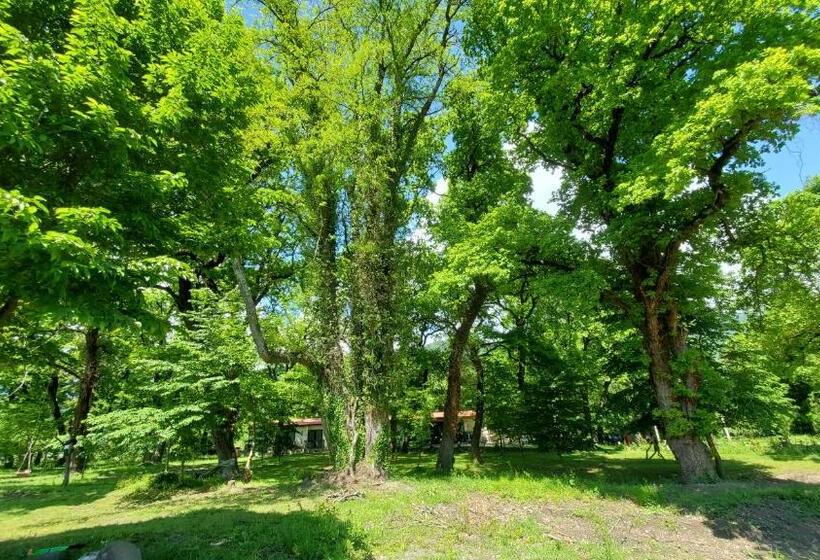 هتل Kvareli Oaks