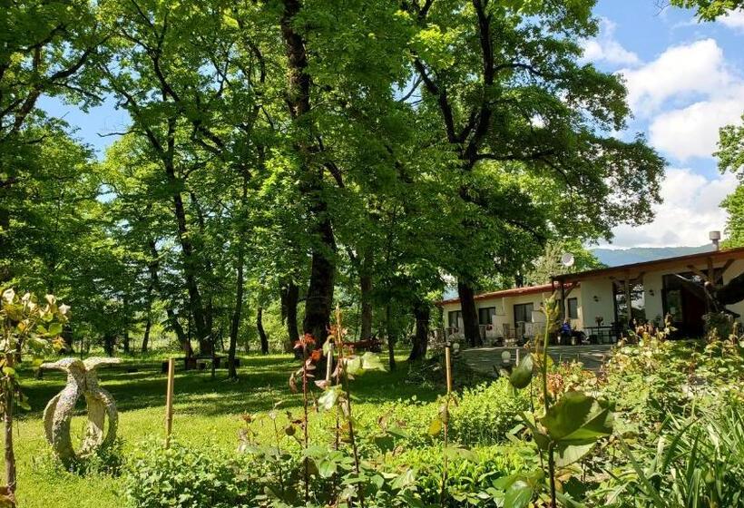 هتل Kvareli Oaks