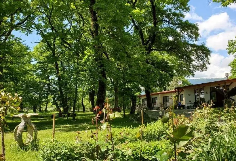 هتل Kvareli Oaks