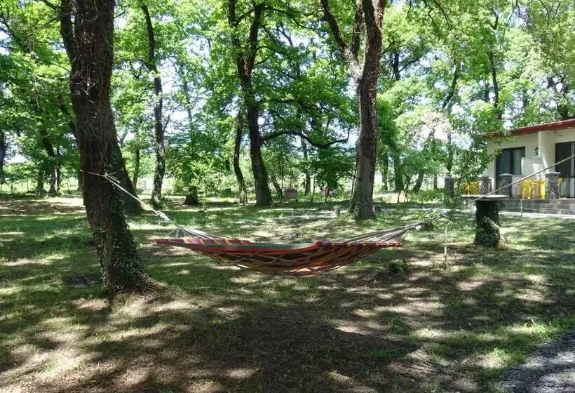 هتل Kvareli Oaks