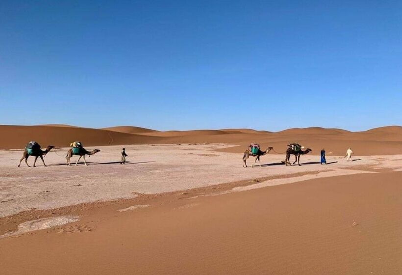 فندق Mhamid Tours