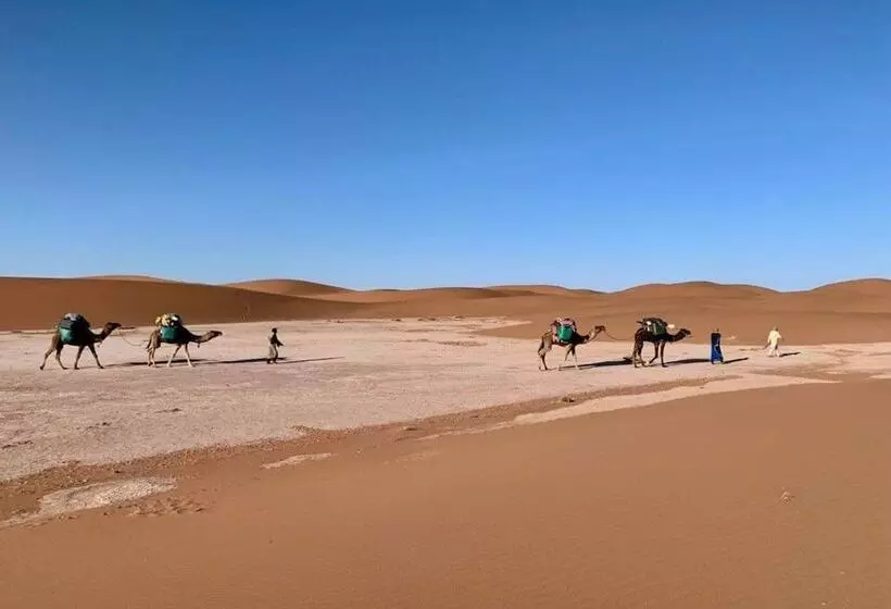 ホテル Mhamid Tours