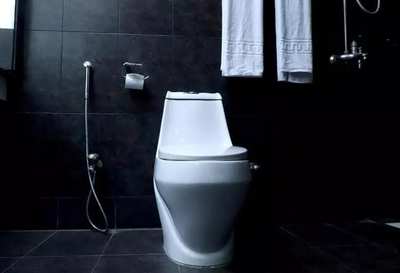 هتل Multan Continental