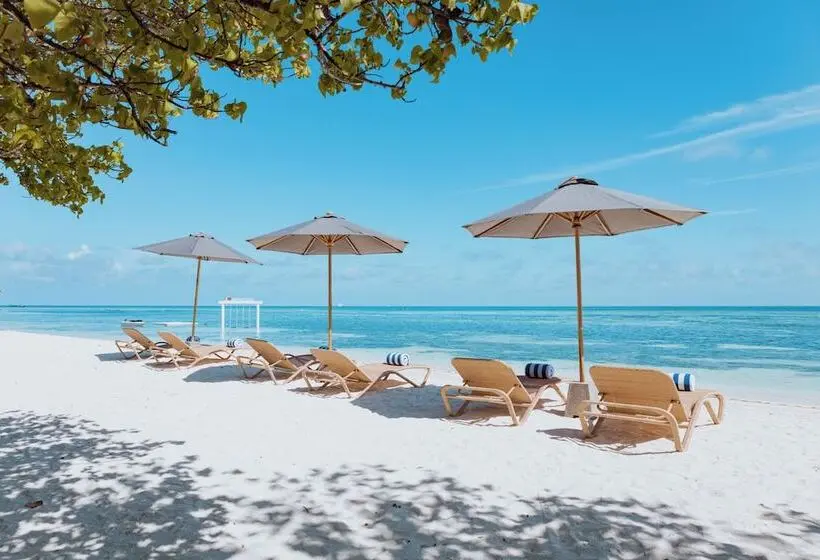 هتل Cocomo Maldives