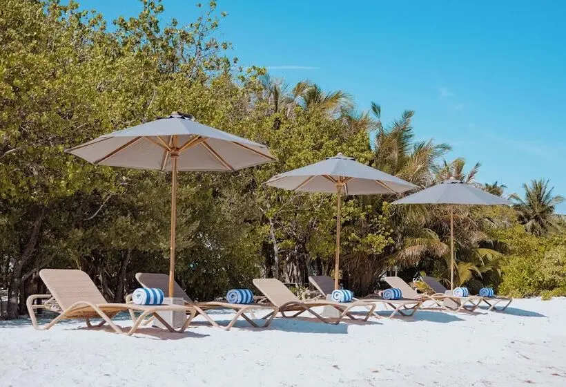 هتل Cocomo Maldives
