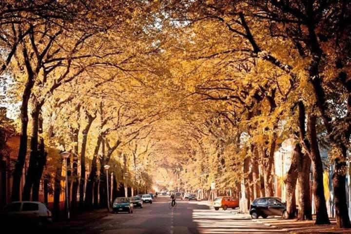 تختخواب و صبحانه Bed&breakfast Intermezzo Caffe