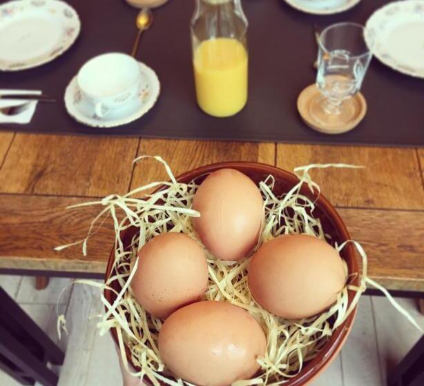 צימר Domus Portus