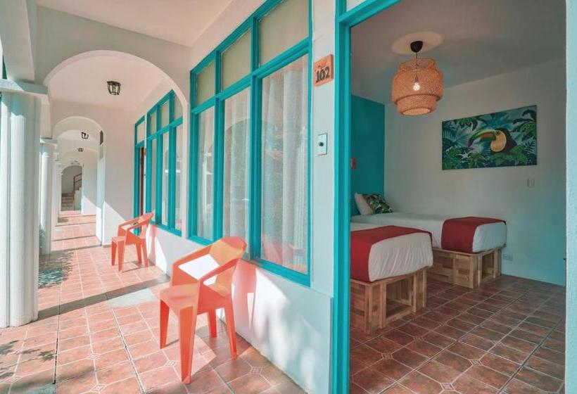 هتل Bird Of Paradise