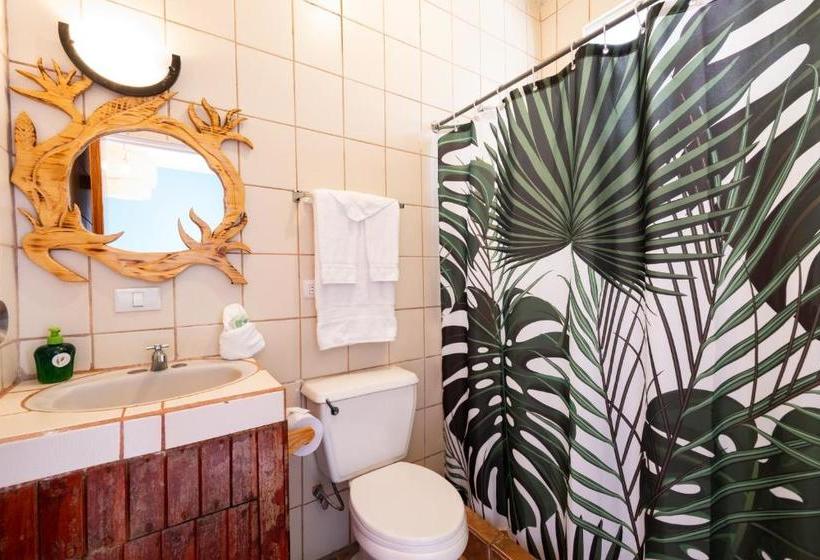 هتل Bird Of Paradise