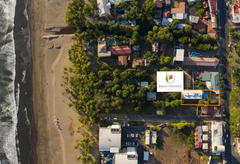 هتل Bird Of Paradise