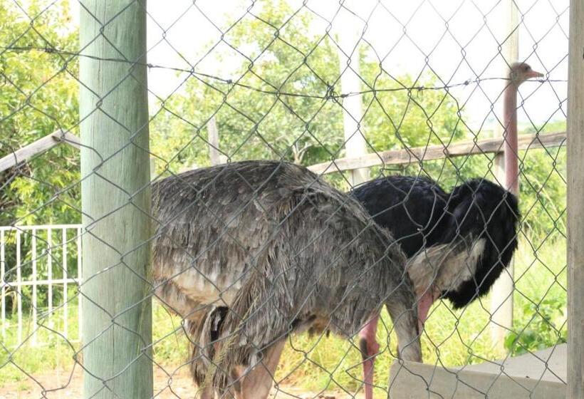 Отель Ifisi Community Centre