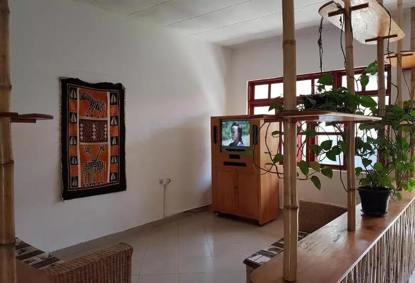 ホテル Ifisi Community Centre