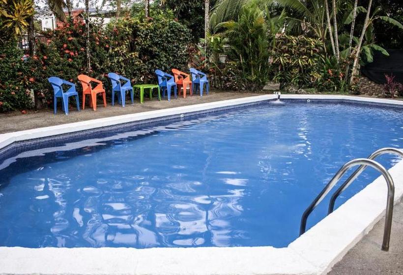 هتل Bird Of Paradise