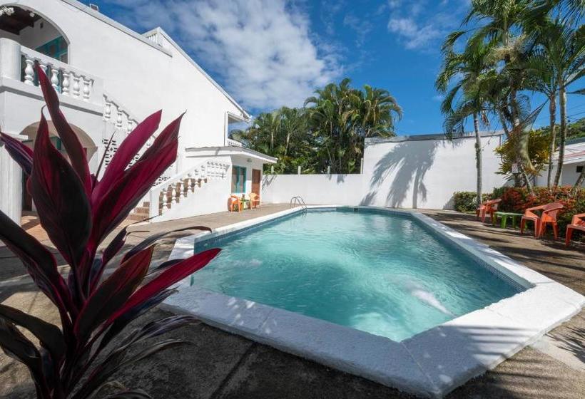 هتل Bird Of Paradise