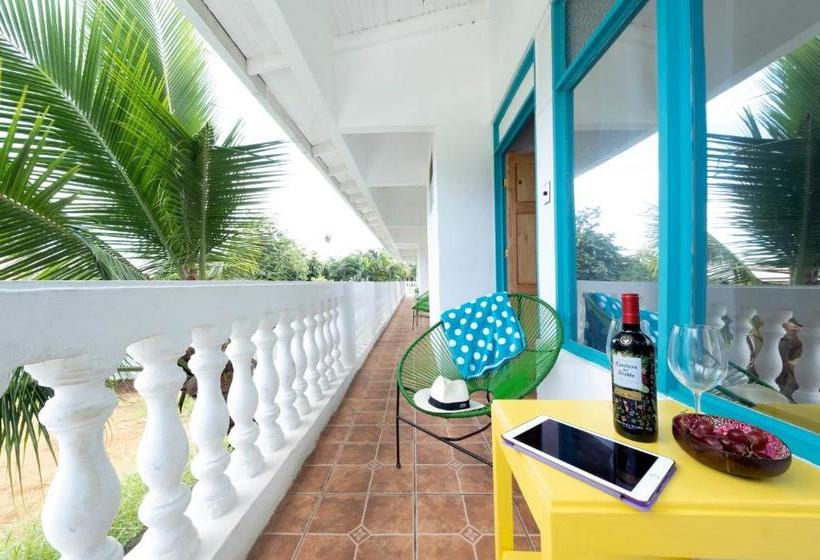 هتل Bird Of Paradise