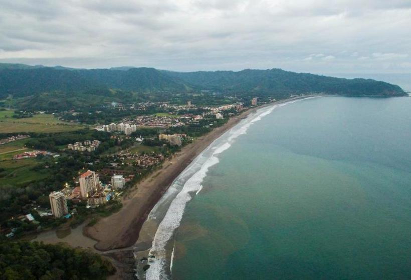 هتل Bird Of Paradise