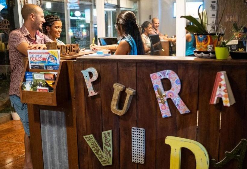 هتل Bird Of Paradise