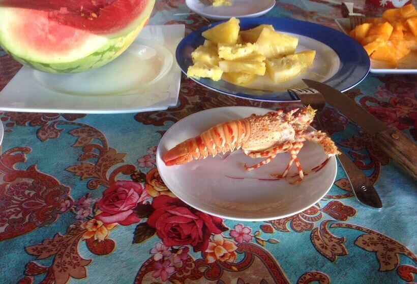 Курорт Crim Wind Freedom