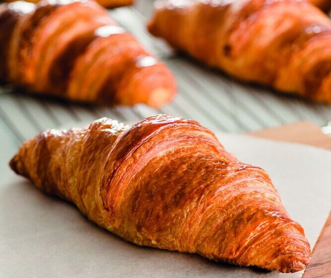 Bed & Breakfast Renga – Hostel